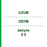 ИЛЕУМ (ILEUM) D 6 ампулы 10x1 мл - Гомеопатия WALA HEILMITTEL