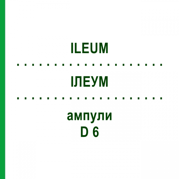 ИЛЕУМ (ILEUM) D 6 ампулы 10x1 мл - Гомеопатия WALA HEILMITTEL