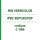 ІРИС ВЕРСІКОЛОР (IRIS VERSICOLOR) C 1000 глобули 1,5 г - Гомеопатія GUDJONS