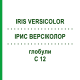 ІРИС ВЕРСІКОЛОР (IRIS VERSICOLOR) C 12 глобули 1,5 г - Гомеопатія GUDJONS