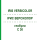 ІРИС ВЕРСІКОЛОР (IRIS VERSICOLOR) C 30 глобули 1,5 г - Гомеопатія GUDJONS