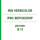 ІРИС ВЕРСІКОЛОР (IRIS VERSICOLOR) Q 13 розчин 15 мл - Гомеопатія GUDJONS