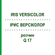 ІРИС ВЕРСІКОЛОР (IRIS VERSICOLOR) Q 17 розчин 15 мл - Гомеопатія GUDJONS