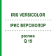 ІРИС ВЕРСІКОЛОР (IRIS VERSICOLOR) Q 19 розчин 15 мл - Гомеопатія GUDJONS