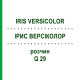 ІРИС ВЕРСІКОЛОР (IRIS VERSICOLOR) Q 29 розчин 15 мл - Гомеопатія GUDJONS