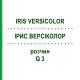 ІРИС ВЕРСІКОЛОР (IRIS VERSICOLOR) Q 3 розчин 15 мл - Гомеопатія GUDJONS