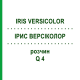 ІРИС ВЕРСІКОЛОР (IRIS VERSICOLOR) Q 4 розчин 15 мл - Гомеопатія GUDJONS
