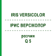 ІРИС ВЕРСІКОЛОР (IRIS VERSICOLOR) Q 5 розчин 15 мл - Гомеопатія GUDJONS