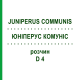 ЮНІПЕРУС КОМУНІС (JUNIPERUS COMMUNIS) D 4 розчин 20 мл - Гомеопатія DHU