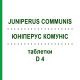 ЮНІПЕРУС КОМУНІС (JUNIPERUS COMMUNIS) D 4 таблетки 80 шт - Гомеопатія DHU