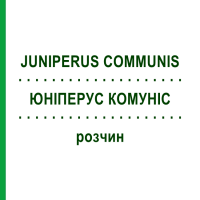 ЮНІПЕРУС КОМУНІС (JUNIPERUS COMMUNIS) розчин 20 мл - Гомеопатія DHU