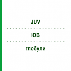 ЮВ (JUV) глобули 20 г - Гомеопатія PHONIX LABORATORIUM