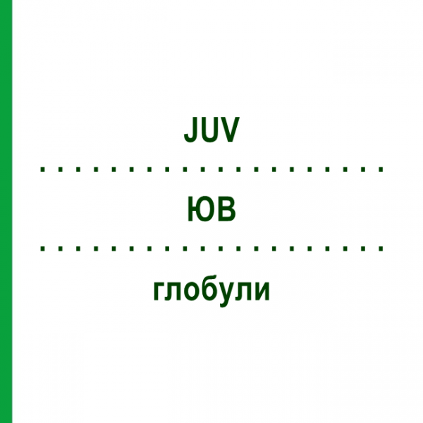 ЮВ (JUV) глобули 20 г - Гомеопатия PHONIX LABORATORIUM