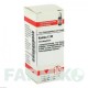 КАЛЬМІЯ (KALMIA) C 30 глобули 10 г - Гомеопатія DHU