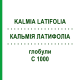 КАЛЬМІЯ ЛАТИФОЛІА (KALMIA LATIFOLIA) C 1000 глобули 1,5 г - Гомеопатія GUDJONS