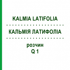 КАЛЬМІЯ ЛАТИФОЛІА (KALMIA LATIFOLIA) Q 1 розчин 15 мл - Гомеопатія GUDJONS