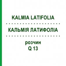 КАЛЬМІЯ ЛАТИФОЛІА (KALMIA LATIFOLIA) Q 13 розчин 15 мл - Гомеопатія GUDJONS
