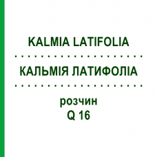 КАЛЬМІЯ ЛАТИФОЛІА (KALMIA LATIFOLIA) Q 16 розчин 15 мл - Гомеопатія GUDJONS