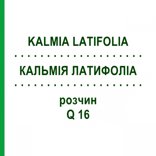 КАЛЬМІЯ ЛАТИФОЛІА (KALMIA LATIFOLIA) Q 16 розчин 15 мл - Гомеопатія GUDJONS
