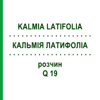 КАЛЬМІЯ ЛАТИФОЛІА (KALMIA LATIFOLIA) Q 19 розчин 15 мл - Гомеопатія GUDJONS
