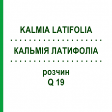 КАЛЬМІЯ ЛАТИФОЛІА (KALMIA LATIFOLIA) Q 19 розчин 15 мл - Гомеопатія GUDJONS