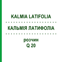 КАЛЬМИЯ ЛАТИФОЛИА (KALMIA LATIFOLIA) Q 20 раствор 15 мл - Гомеопатия GUDJONS