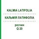 КАЛЬМІЯ ЛАТИФОЛІА (KALMIA LATIFOLIA) Q 20 розчин 15 мл - Гомеопатія GUDJONS