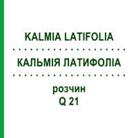 КАЛЬМІЯ ЛАТИФОЛІА (KALMIA LATIFOLIA) Q 21 розчин 15 мл - Гомеопатія GUDJONS