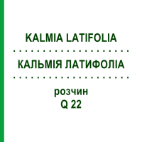 КАЛЬМИЯ ЛАТИФОЛИА (KALMIA LATIFOLIA) Q 22 раствор 15 мл - Гомеопатия GUDJONS
