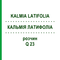 КАЛЬМІЯ ЛАТИФОЛІА (KALMIA LATIFOLIA) Q 23 розчин 15 мл - Гомеопатія GUDJONS