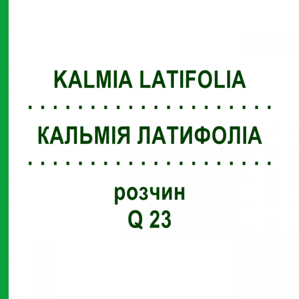 КАЛЬМІЯ ЛАТИФОЛІА (KALMIA LATIFOLIA) Q 23 розчин 15 мл - Гомеопатія GUDJONS