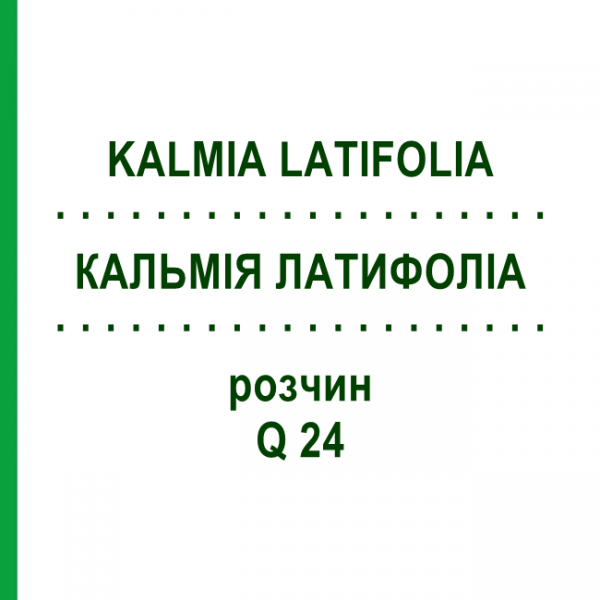 КАЛЬМІЯ ЛАТИФОЛІА (KALMIA LATIFOLIA) Q 24 розчин 15 мл - Гомеопатія GUDJONS
