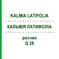 КАЛЬМИЯ ЛАТИФОЛИА (KALMIA LATIFOLIA) Q 28 раствор 15 мл - Гомеопатия GUDJONS