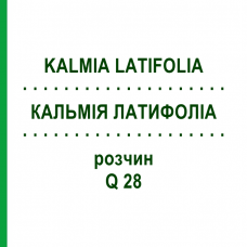 КАЛЬМІЯ ЛАТИФОЛІА (KALMIA LATIFOLIA) Q 28 розчин 15 мл - Гомеопатія GUDJONS