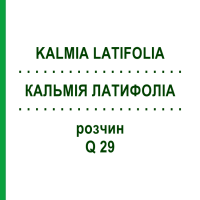 КАЛЬМИЯ ЛАТИФОЛИА (KALMIA LATIFOLIA) Q 29 раствор 15 мл - Гомеопатия GUDJONS