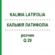КАЛЬМІЯ ЛАТИФОЛІА (KALMIA LATIFOLIA) Q 29 розчин 15 мл - Гомеопатія GUDJONS