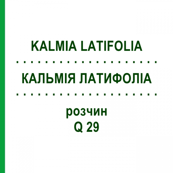 КАЛЬМІЯ ЛАТИФОЛІА (KALMIA LATIFOLIA) Q 29 розчин 15 мл - Гомеопатія GUDJONS