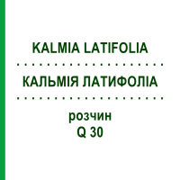 КАЛЬМІЯ ЛАТИФОЛІА (KALMIA LATIFOLIA) Q 30 розчин 15 мл - Гомеопатія GUDJONS
