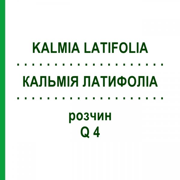 КАЛЬМІЯ ЛАТИФОЛІА (KALMIA LATIFOLIA) Q 4 розчин 15 мл - Гомеопатія GUDJONS