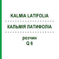 КАЛЬМИЯ ЛАТИФОЛИА (KALMIA LATIFOLIA) Q 6 раствор 15 мл - Гомеопатия GUDJONS