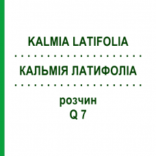 КАЛЬМІЯ ЛАТИФОЛІА (KALMIA LATIFOLIA) Q 7 розчин 15 мл - Гомеопатія GUDJONS