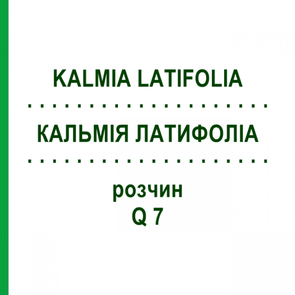 КАЛЬМІЯ ЛАТИФОЛІА (KALMIA LATIFOLIA) Q 7 розчин 15 мл - Гомеопатія GUDJONS