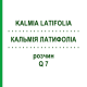 КАЛЬМІЯ ЛАТИФОЛІА (KALMIA LATIFOLIA) Q 7 розчин 15 мл - Гомеопатія GUDJONS