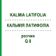 КАЛЬМІЯ ЛАТИФОЛІА (KALMIA LATIFOLIA) Q 8 розчин 15 мл - Гомеопатія GUDJONS