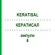 КЕРАТИСАЛ (KERATISAL) 6 ампули 10x2 мл - Активні речовини BIOKANOL PHARMA