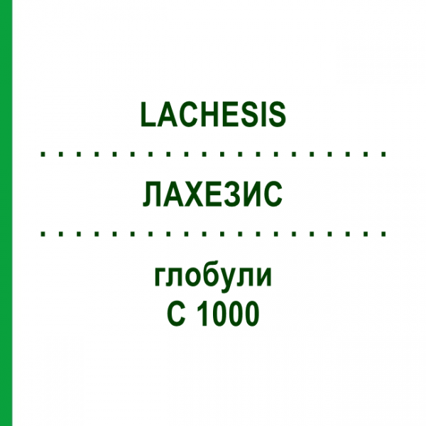 ЛАХЕЗИС (LACHESIS) C 1000 глобули 0,5 г - Гомеопатія GUDJONS