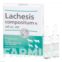 ЛАХЕЗИС КОМПОЗИТУМ (LACHESIS COMPOSITUM) ампулы 5 шт - Гомеопатия BIOLOGISCHE HEILMITTEL HEEL
