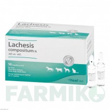 ЛАХЕЗИС КОМПОЗИТУМ (LACHESIS COMPOSITUM) ампулы 50 шт - Гомеопатия BIOLOGISCHE HEILMITTEL HEEL