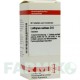 ЛАТИРУС САТИВУС (LATHYRUS SATIVUS) D 6 таблетки 80 шт - Гомеопатия DHU