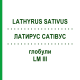 ЛАТИРУС САТИВУС (LATHYRUS SATIVUS) LM III глобули 5 г - Гомеопатия DHU